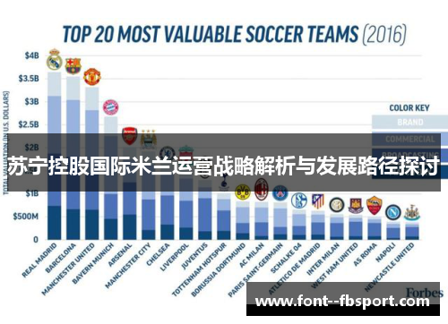 苏宁控股国际米兰运营战略解析与发展路径探讨 苏宁控股国际米兰运营战略解析与发展路径探讨