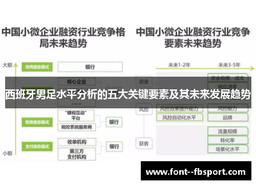 西班牙男足水平分析的五大关键要素及其未来发展趋势 西班牙男足水平分析的五大关键要素及其未来发展趋势